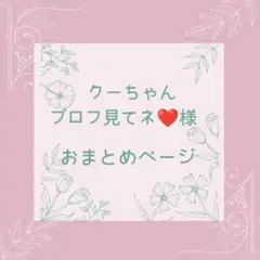 クーちゃん プロフ見てネ❤️断捨離中様 リクエスト 2点 まとめ商品