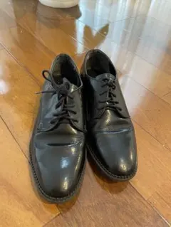 Item thumbnail for item 0f48cbc0-5690-49c5-b1e7-407e1badd78b