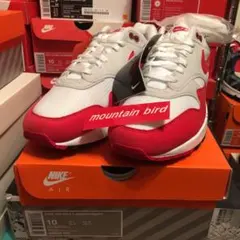 AM1 SUPREME NORTH OFF WHITE JORDAN sacai