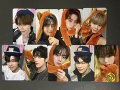 ZEROBASEONE withmuu ズートピア トレカ 全員セット