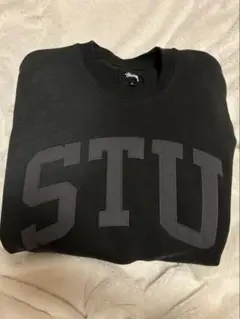 Stussy STUプリント スウェット Mサイズ