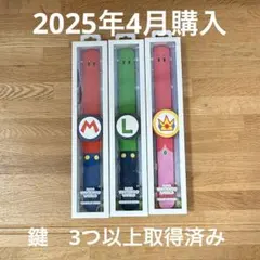 USJ パワーアップバンド　マリオ　ピーチ　ルイージ3本セット
