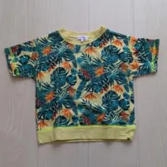 グリーンレーベル 95 ボタニカル柄Tシャツのサムネイル