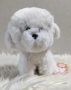 さみしがりやのビションフリーゼ　しっぽぶんぶん　犬　ぬいぐるみ タグ付き