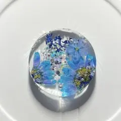NO.2970夢限の花˚✧⁎⁺˳✧༚ドライフラワー レジンヘアゴム ブローチ