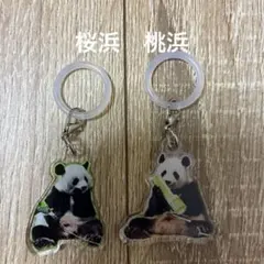 マルチチャーム(楓浜)◇アドベンチャーワールド○パンダファミリー