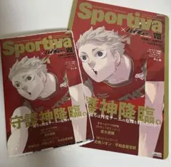 ハイキュー ショーセツバン sportiva 夜久 ビジュアルボード付き