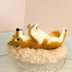 Item thumbnail for item 10c443e4-f4bf-4c46-836b-59cf9efa54ba