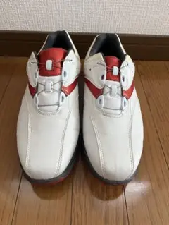 FOOTJOY フットジョイ ゴルフシューズ 25.0