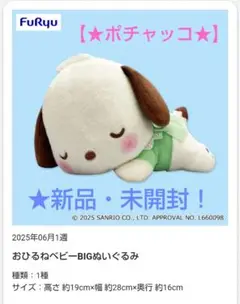 9/5迄限定！新品☆【★ポチャッコ】☆おひるねベビーBIGぬいぐるみ☆未開封！
