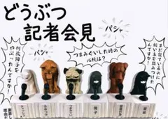 Item thumbnail for item 495bc9ce-226b-4d3c-b8c9-0fff55b3436d