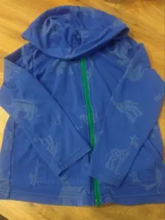 Item thumbnail for item 4d30459b-ea46-4593-a755-15c68f54acf8