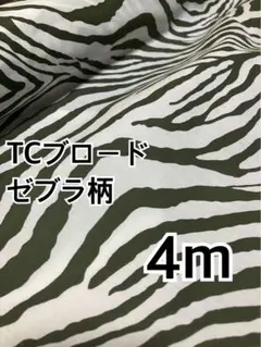 4m ゼブラカラー　TCブロード モスグリーン　ハギレ　生地