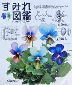 2025年最新】スミレの苗の人気アイテム - メルカリ