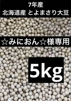 ☆みにおん☆様専用