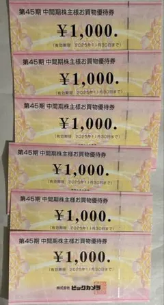 ビックカメラ 6000円分 株主優待券 お買物優待券 コジマ biccamera