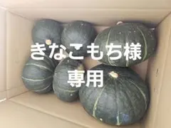 【きなこもち様専用】かぼちゃブラックのジョー多めダークホース混合10㎏以上