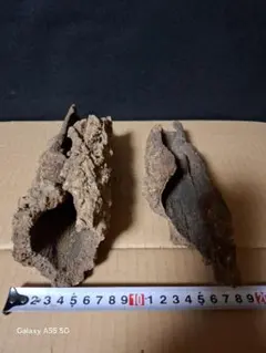 Item thumbnail for item 36f027c2-e50d-4dff-89b6-51d79d3f83ac