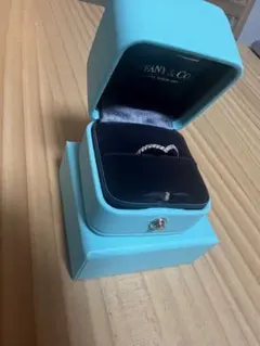 2025年最新】ティファニー ソレスト vリングの人気アイテム - メルカリ