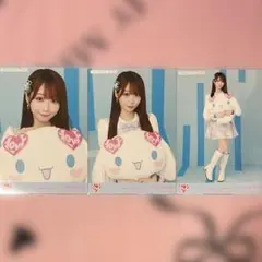 イコラブ 大谷映美里 シナモロールコラボ2025 コンプ 生写真