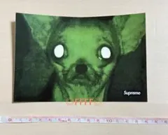 ★新品正規品★ Supreme クリス・カニンガム チワワ ステッカー