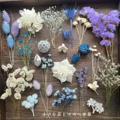カワラハハコ✳『夢色ドロップス』加工花材/2点からお願いします カワラハハコ✳『夢色ドロップス』加工花材/2点からお願いします 1点