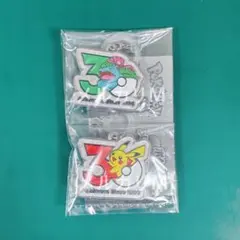 ポケモン 30周年 メタルチャームマスコット 2種セット ①