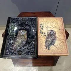 KALDI 魔法辞書クッキー缶 ハロウィン2025 カルディ
