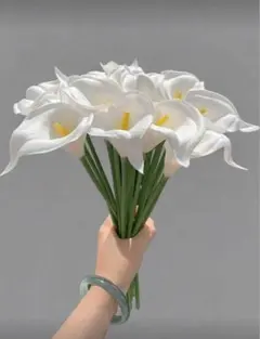 Item thumbnail for item 6ea059a2-8068-4ede-8ce9-e41d8943f060