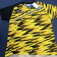 Item thumbnail for item caf71a06-c69c-4edf-bd0a-dbd820d8a2e5