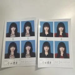 seju 証明写真 今井環希 古園井寧々 夏川メガン 3枚セット - メルカリ