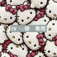 IV ◝✩様　専用