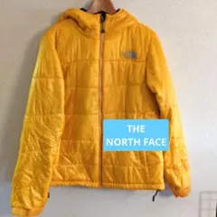 Item thumbnail for item 689d3194-de95-4a07-b3dd-10bd920e8191