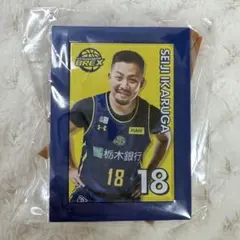 宇都宮ブレックス　鵤選手 ミニチュアアートイーゼル ガチャガチャ