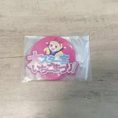 アイカツ！グッズコレクション2 〜大スター宮いちごまつり〜　ラバーコースター