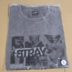 straykids RUN IT JAPAN フォトTシャツ 黒 M スキズ ② - メルカリ