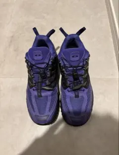 2026年最新】SALOMON メインカラー：パープル メンズ スニーカーの人気