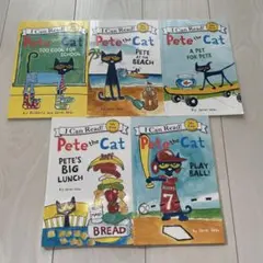 Item thumbnail for item 9a94c1f0-af4e-4f30-bf3a-0b5e129f7802