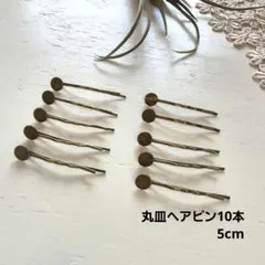 P-66 在庫処分 まとめ売り ヘアピン台座付 丸皿ヘアピン１０本