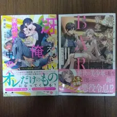 BL小説2冊セット