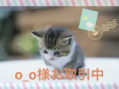 o_o様 リクエスト 3点 まとめ商品