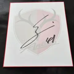 2025年最新】アントラー サインの人気アイテム - メルカリ