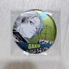 SAKAMOTO DAYS展 サカモトデイズ ターゲット缶バッジコレクション 楽