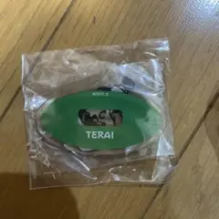 東海オンエア としみつ TERAI