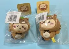 ちいかわ　たぬきだもんくじ　C賞:マスコット（くりまんじゅう）2点セット①