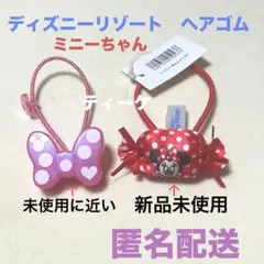 匿名配送　ディズニー　ミニーちゃん　ヘアゴム　セット　リボン