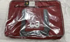 旧型　ワールドペガサス　赤　ワッペ　新品未使用　　スクバのサムネイル