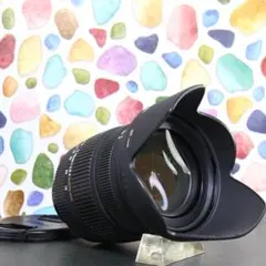 SIGMA 170-500mm ズームレンズ PENTAX互換 - メルカリ