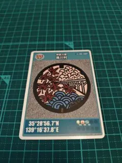 Item thumbnail for item e256832a-5d12-4c9c-bdb8-65a60b4baa84