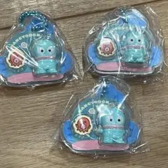 サンリオ　パッケージチャーム　ハンギョドン　3点セット